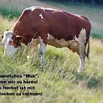 *auszeit*