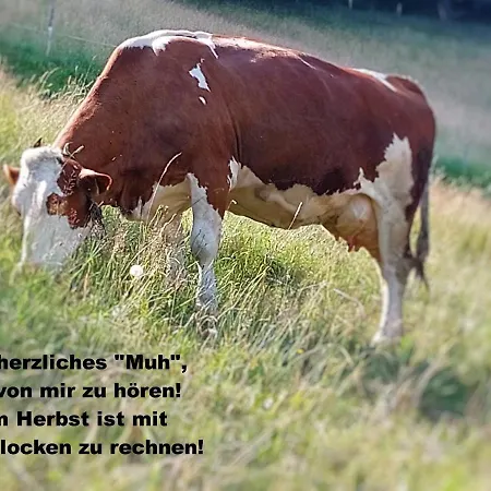*auszeit*