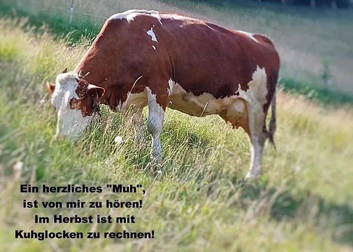 *auszeit*